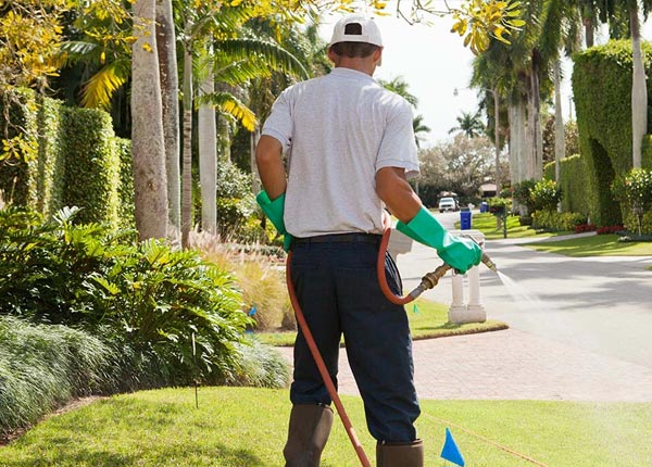 About Coral Gables FL Pest Control Pros